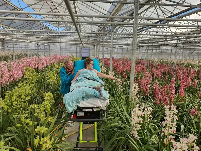 Laatste wens van vrouw (61) in vervulling in Luttelgeest: nog één keer genieten van de orchideeën